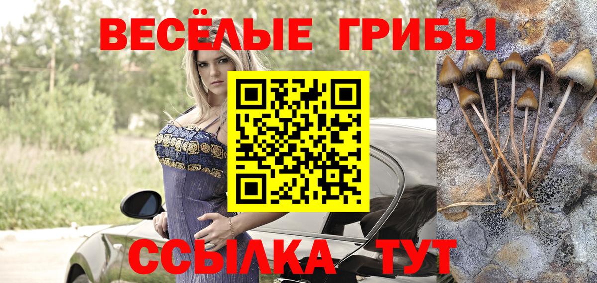 Псилоцибиновые грибы Magic Shrooms  Вход с VPN  Королёв 
